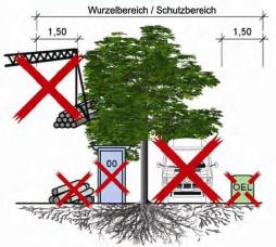 waldkindergarten-baustelle6